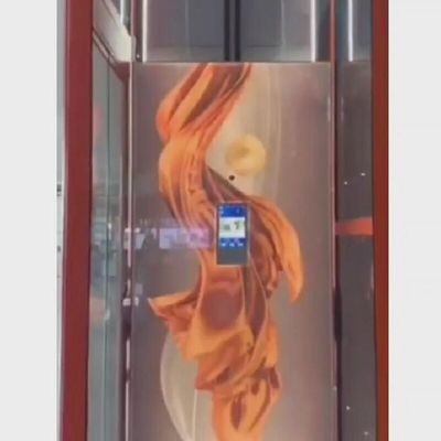 Elevadores pequeños de acero inoxidable para viviendas 400 kg