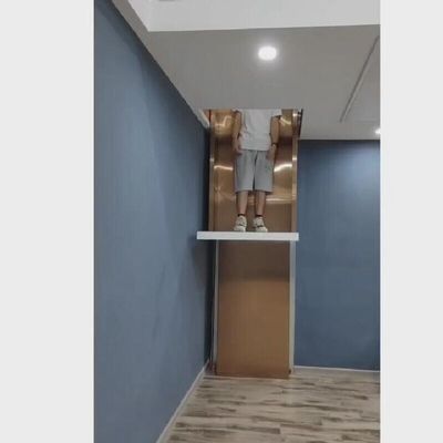 30M de viaje elevador hidráulico doméstico 400Kg compacto elevador hidráulico para el hogar
