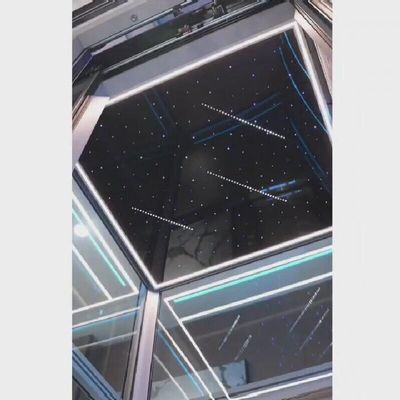 Ascensor para el hogar de tracción pintoresco VVVF Control Ascensor de cabina SS sin engranajes 1 año de garantía