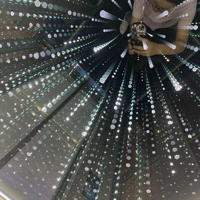 Moda Automática puerta corredera Tracción ascensor para el hogar 0.4-1.0 M/S suelo de mármol