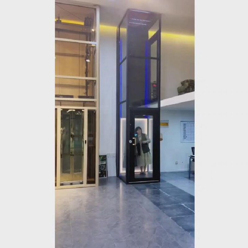 Tipo de elevadores de tracción de plataformas de oficina de 500 a 1000 kg de capacidad