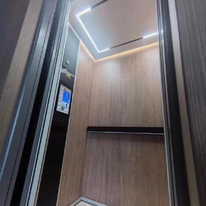 5 Paradas elevador hidráulico para el control de microprocesador de tamaño para el hogar en elevadores de plataformas de aluminio de baja altura