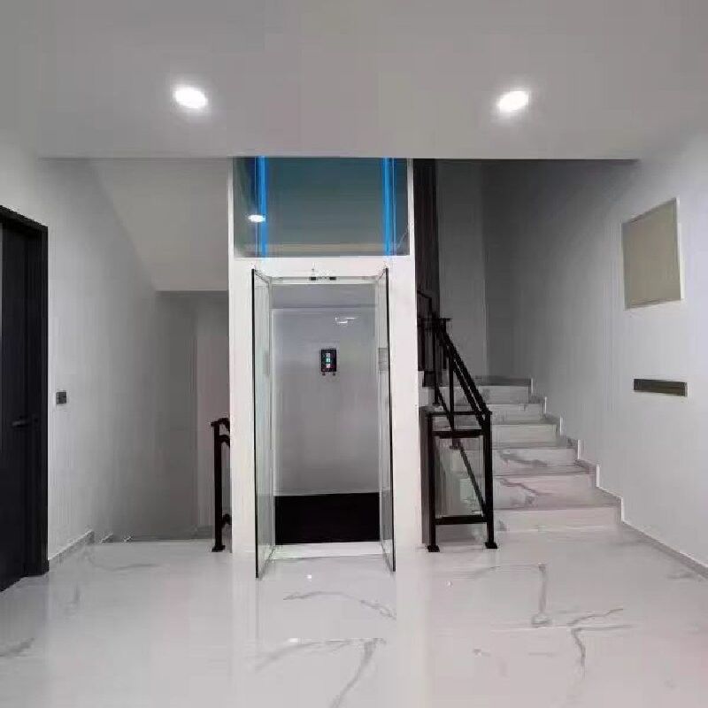 14.5 M Ss ascensor de cabina con puertas automáticas para 5 paradas ascensor sin hoyos para el hogar