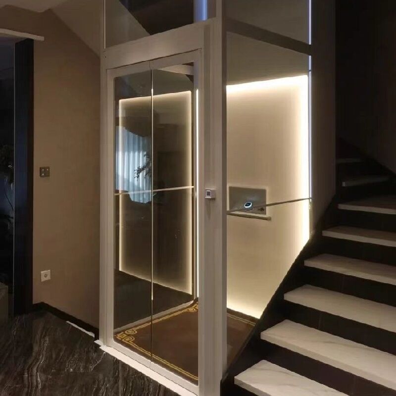 14.5 metros de altura máxima ascensor de casa de fase única con botón de parada de emergencia