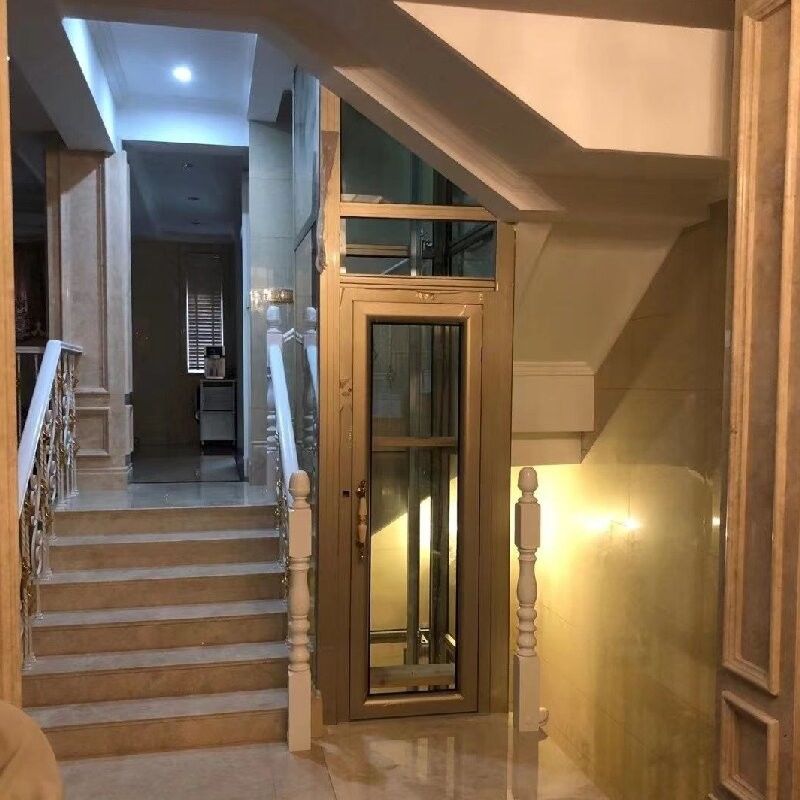 Control de microprocesador de cilindros grandes Residencial Elevador hidráulico Casa Cabina de turismo para particulares