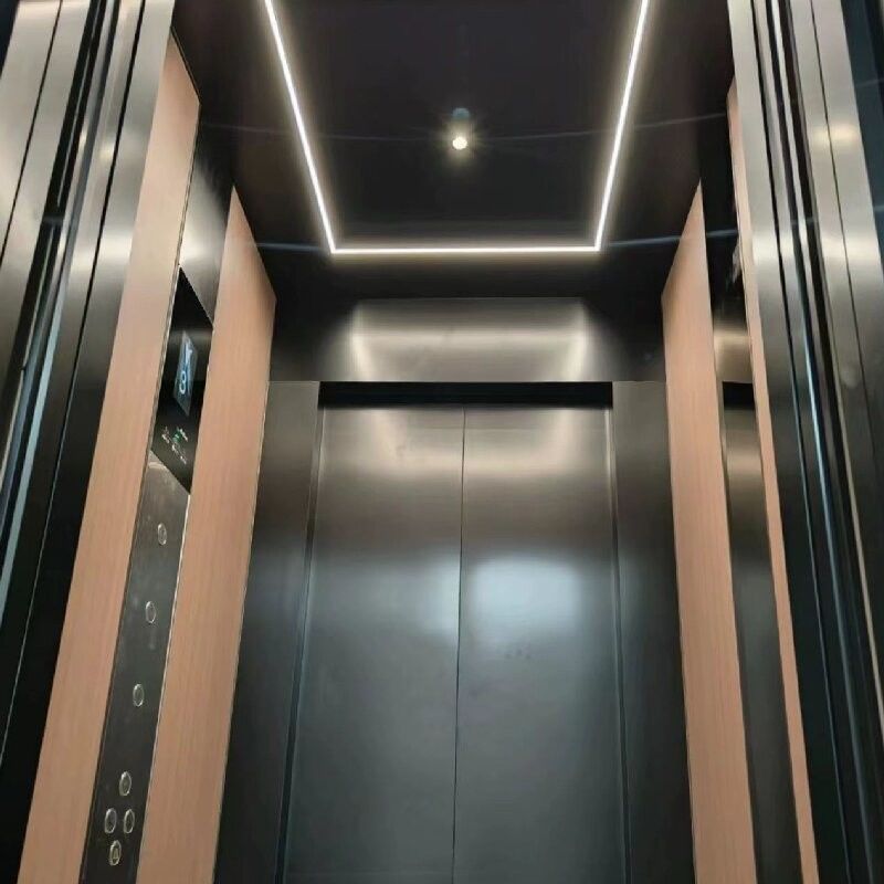 Personalizar 2.9 M cilindros grandes ascensor hidráulico con 0 M de profundidad de pozo y 304 # cabina de acero inoxidable