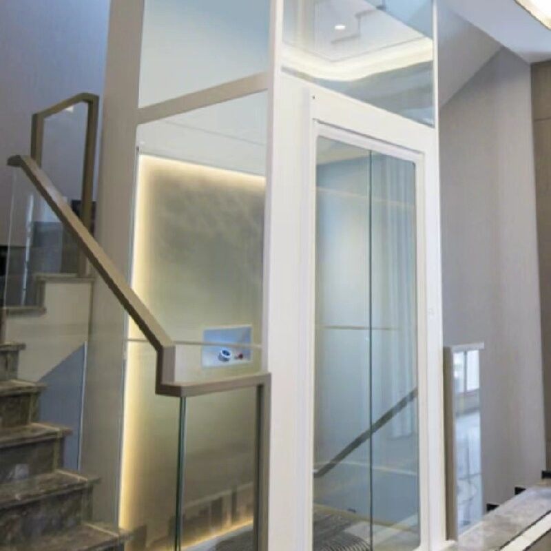 Elevador de cabina de aleación de aluminio de fase única con cilindros grandes de 2,9 metros de largo y puerta automática
