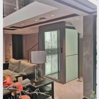 Villa Tracción Ascensor para el hogar seguro 0.6 M/S Fuente de alimentación de fase única / tres